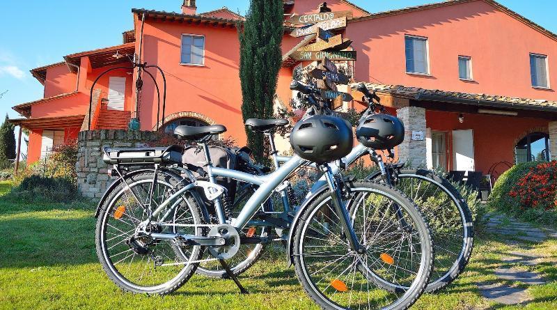 Podere Benintendi Certaldo Bagian luar foto