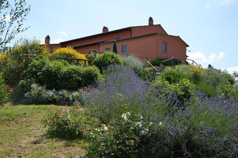 Podere Benintendi Certaldo Bagian luar foto