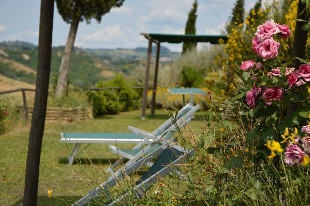 Podere Benintendi Certaldo Bagian luar foto