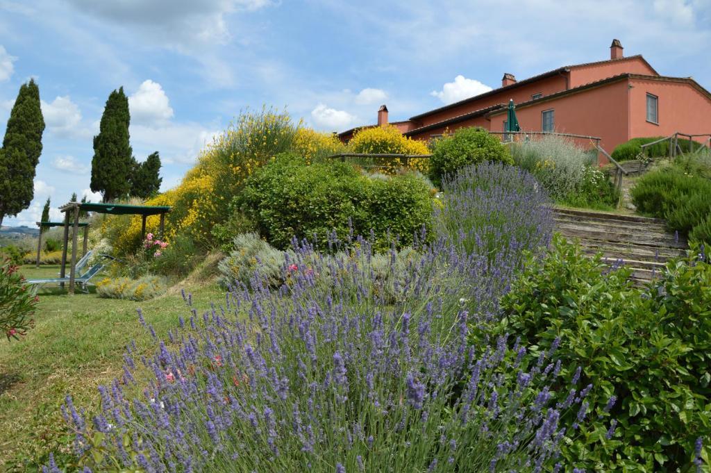 Podere Benintendi Certaldo Bagian luar foto